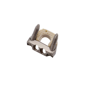 cervical cage with screw
