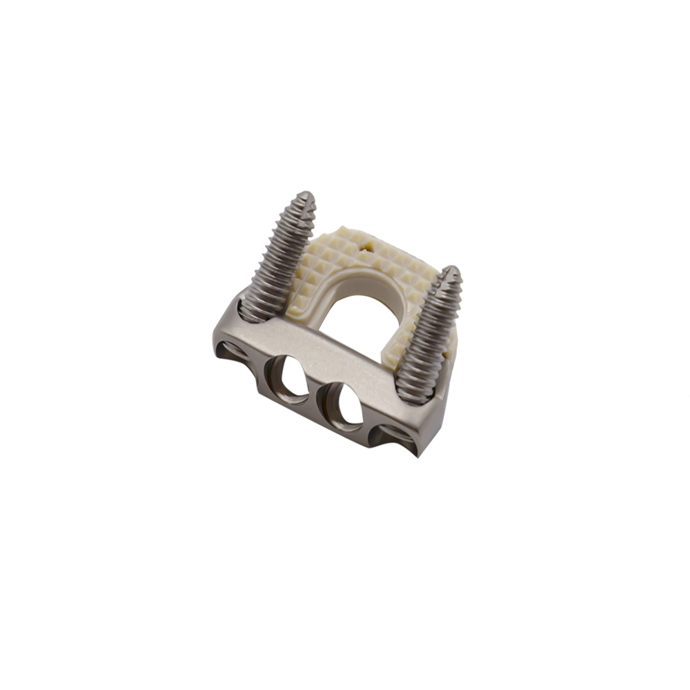 cervical cage with screw