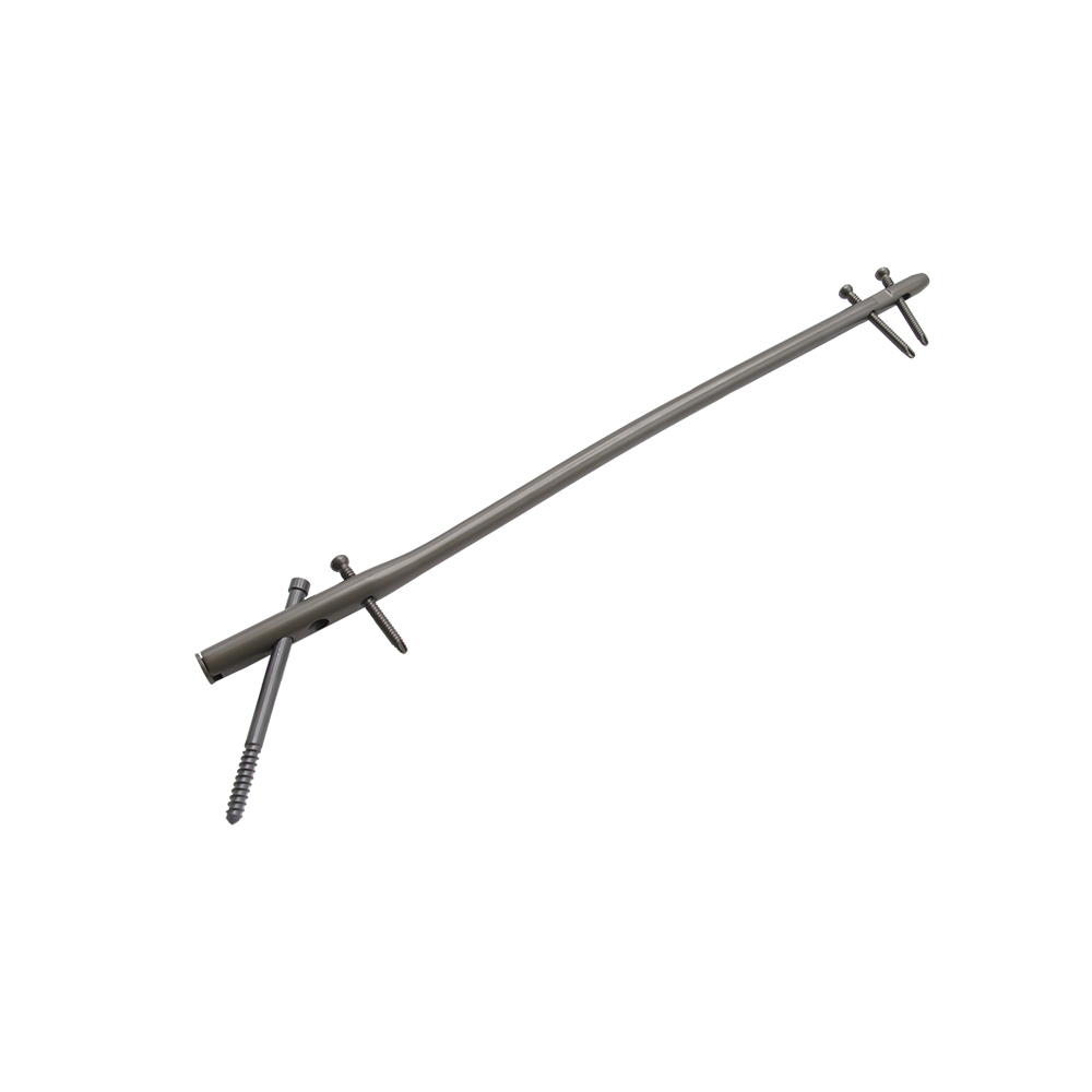 Expert Femoral Nail